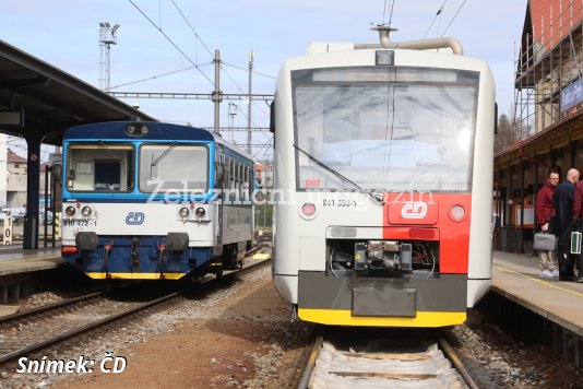 Pavouci už vyhání myši